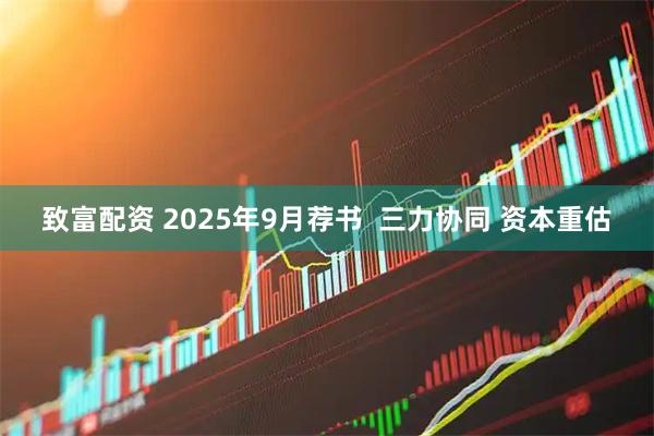 致富配资 2025年9月荐书  三力协同 资本重估
